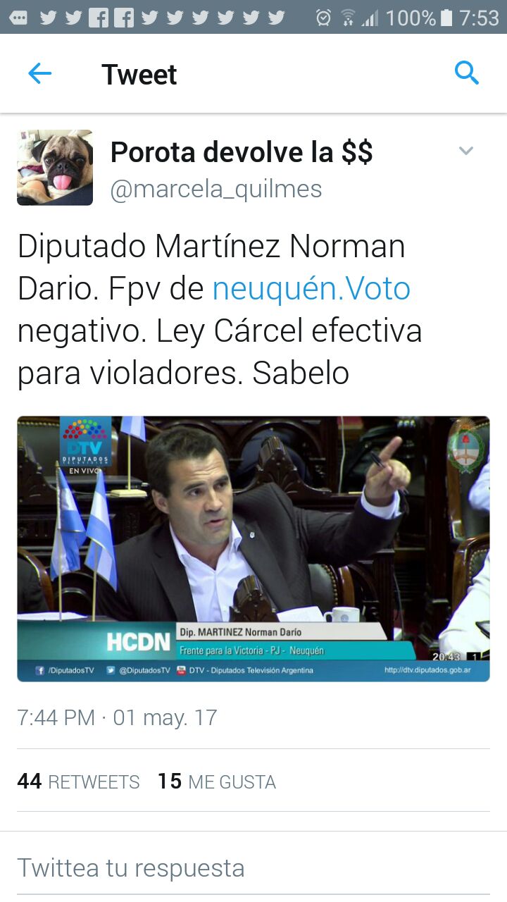 Twitter: «El senador Darío Martinez votó negativo ley de cárcel efectiva para violadores»