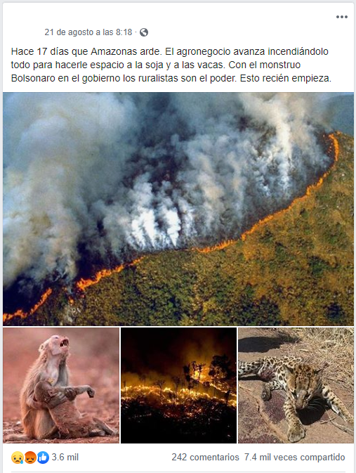 Incendio en el Amazonas: circulan fotos que no son actuales y algunas ni siquiera son de Brasil