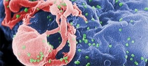 VIH/SIDA: los mitos lejos de los datos