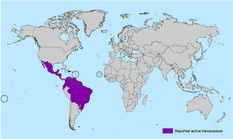 Mapa zika