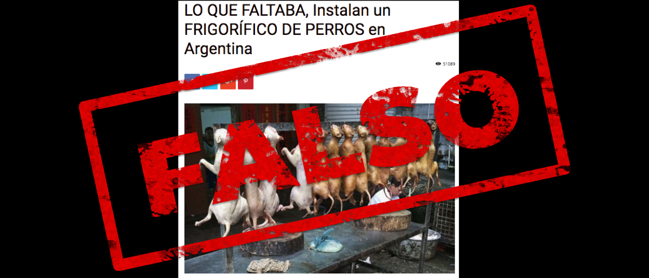 Es falso que se instala en la Argentina el primer frigorífico sudamericano de perros