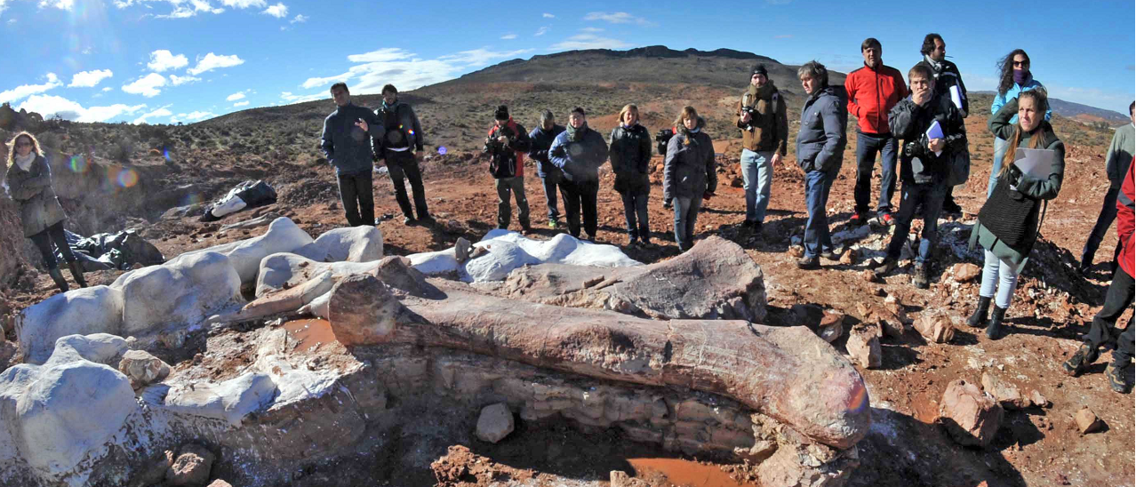 Es falso lo que se afirma en el video donde se asocian restos de un dinosaurio argentino con CFK