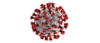 Coronavirus: qué tipos de desinformaciones circulan