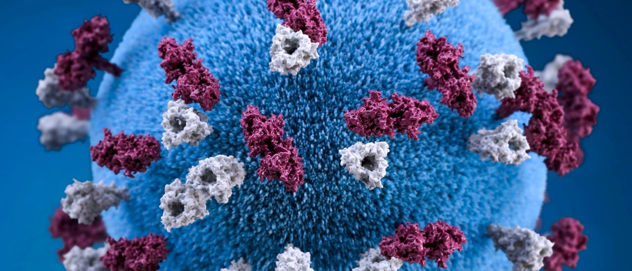Qué sabemos de las variantes del coronavirus detectadas en la Argentina