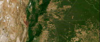 La deforestación del Gran Chaco continuó durante el aislamiento