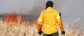 Más de la mitad de las provincias sufren incendios forestales y el 95% fueron causados por el hombre