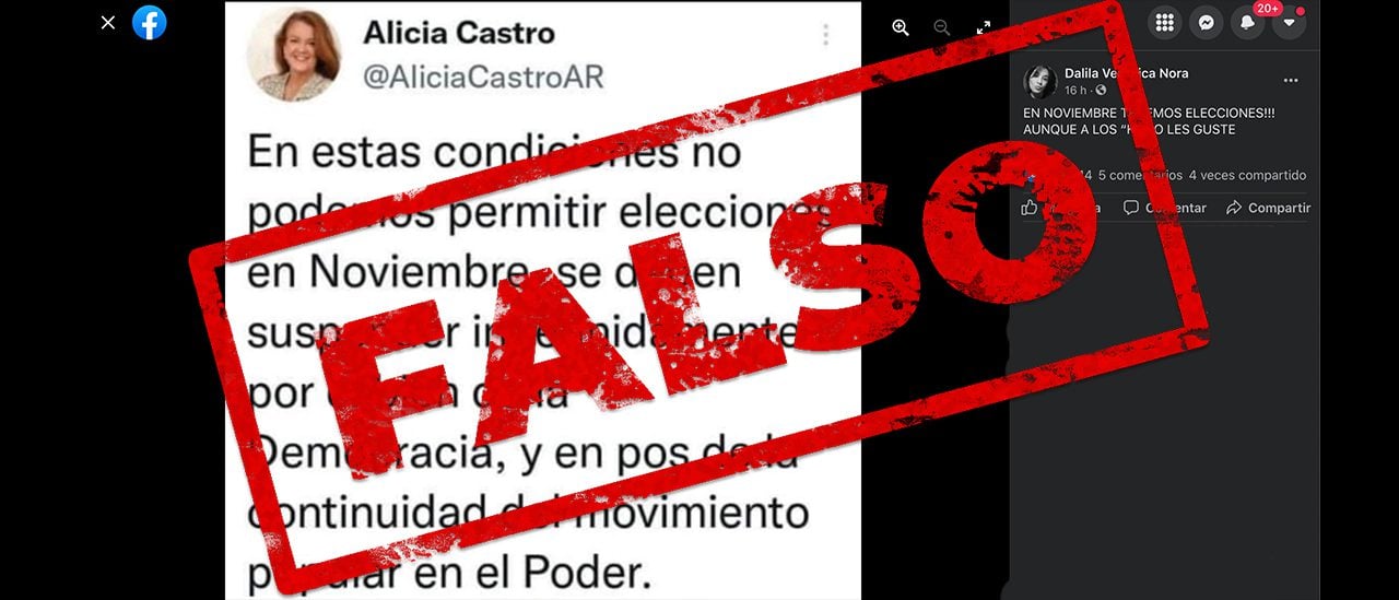 Es falso que Alicia Castro tuiteó a favor de “suspender indefinidamente” las elecciones tras el resultado de las PASO