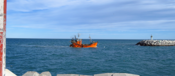 ¿Qué se sabe sobre la reciente aprobación para realizar estudios de búsqueda de petróleo en el Mar Argentino?