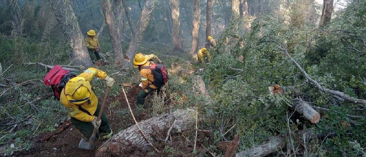 Incendios forestales: qué está haciendo el Ministerio de Ambiente y qué recomiendan los especialistas