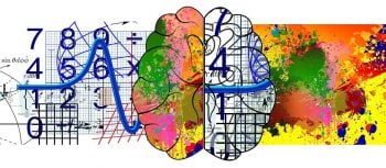 Cómo nace el mito de que existe un hemisferio del cerebro dominante y eso determina si somos más racionales o creativos