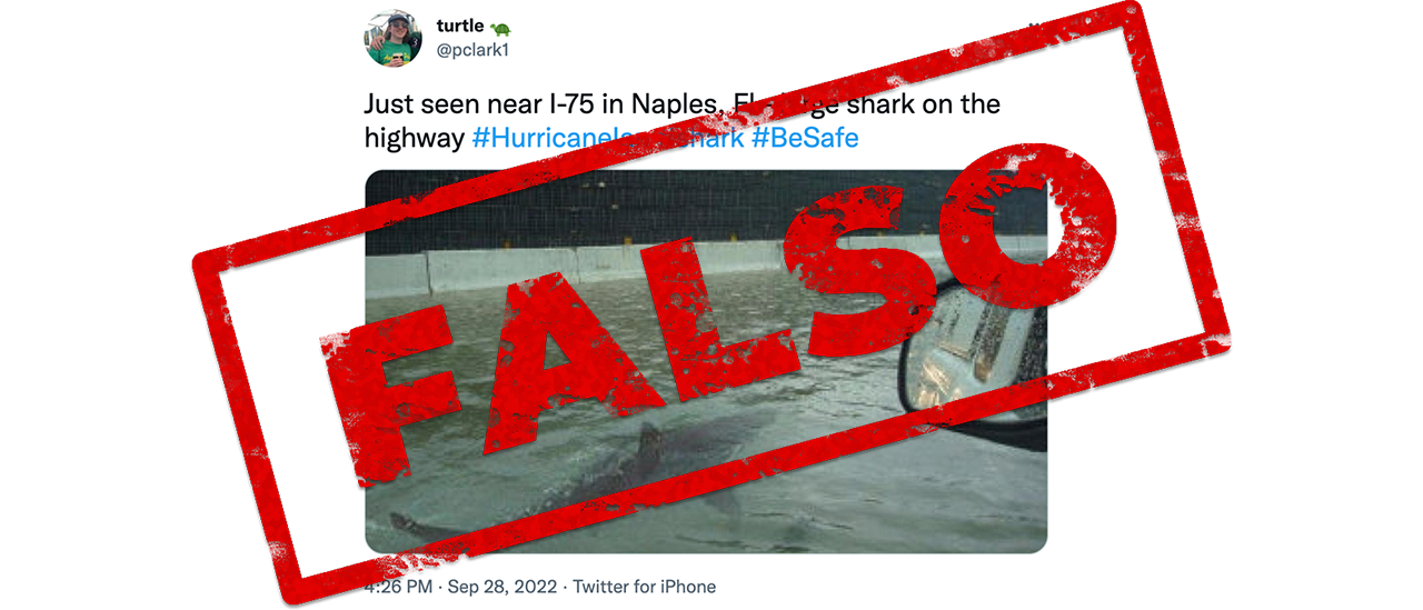 Es falsa esta foto de un supuesto tiburón nadando en las calles de los Estados Unidos