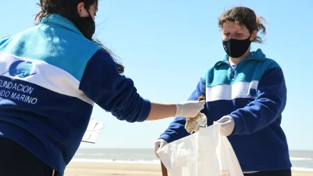 Los plásticos son el principal residuo en playas bonaerenses y ya afectan a 32 especies marinas