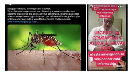 Dengue: las desinformaciones más comunes que circulan en la Argentina sobre esta enfermedad transmitida por un mosquito