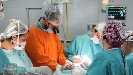 En 2023, creció la cantidad de trasplantes y donantes de órganos y tejidos en la Argentina