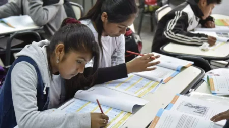 Educación: sólo 2 de cada 10 chicos argentinos de 15 años transitan su escolaridad en tiempo y forma