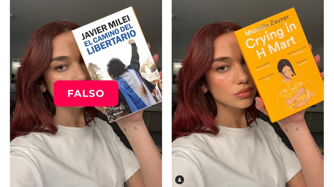 Es falso que la cantante Dua Lipa publicó una foto con el libro de Javier Milei