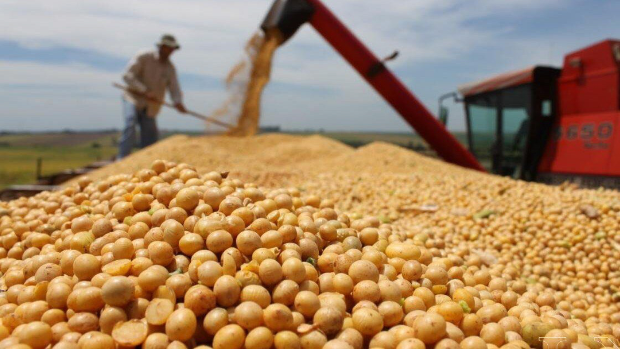 Baja temporal de las retenciones: ¿cuál es la situación del campo y qué  impacto tiene la medida que oficializó el gobierno? - Chequeado