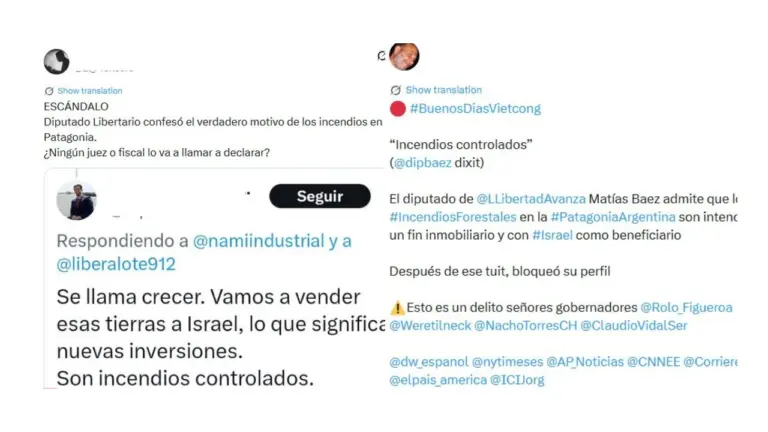 Es falso que un diputado libertario llamado Matías Baez confesó incendios intencionales en la Patagonia y venta de tierras a Israel
