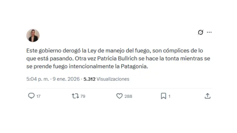 El gobierno de Javier Milei no derogó la Ley de Manejo del Fuego, pero sí quiere modificarla
