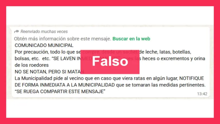 Es falso el “comunicado municipal” que circula por WhatsApp y alerta sobre la presencia de roedores