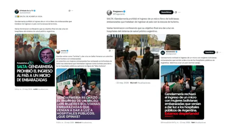 “Mujeres embarazadas de Bolivia detenidas por Gendarmería”: cuáles son las cuentas que difundieron esta noticia falsa