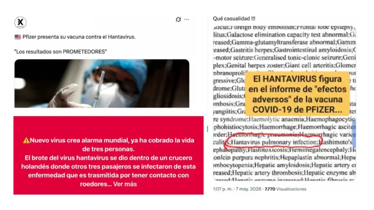 Brote de hantavirus: qué desinformaciones circulan sobre el tema